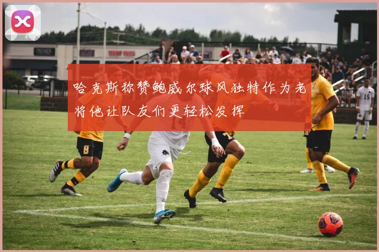 哈克斯称赞鲍威尔球风独特作为老将他让队友们更轻松发挥
