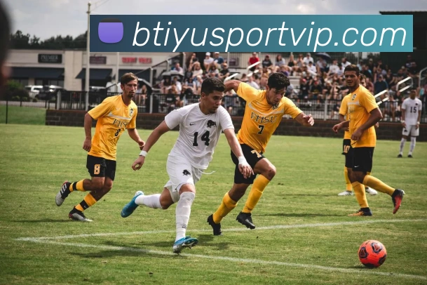 B体育平台生态图